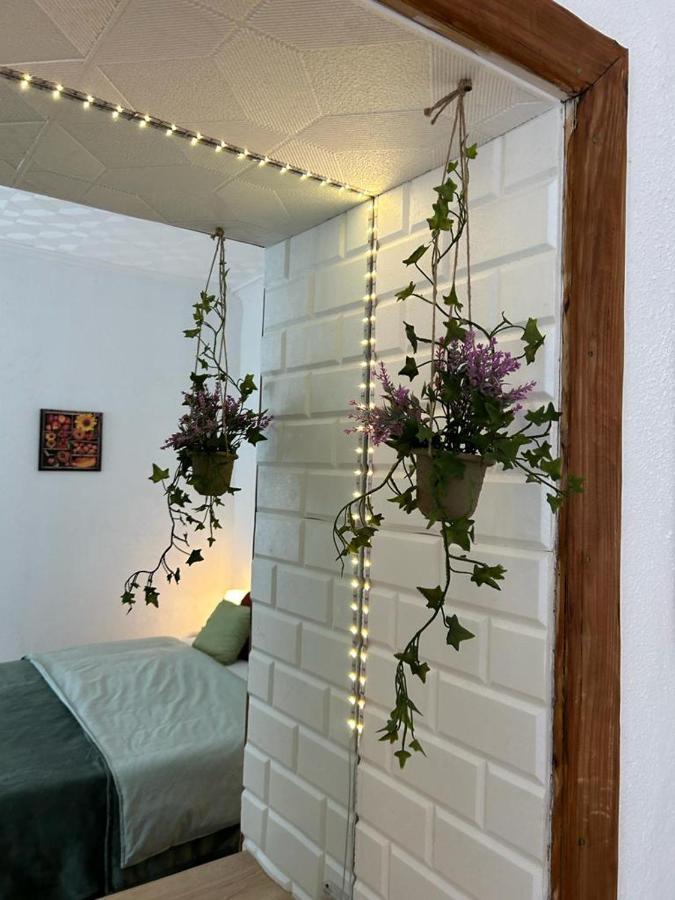 Guest House Rusu Braşov Buitenkant foto