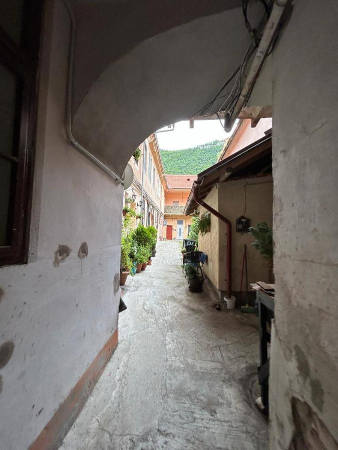 Guest House Rusu Braşov Buitenkant foto